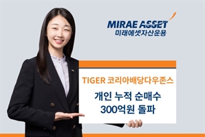 대선 앞두고 신바람…미래에셋 '한국판 SCHD', 개인 누적 순매수 300억 돌파